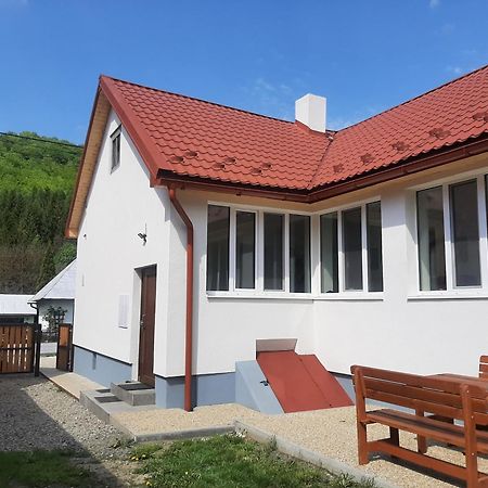Babickin Dom Villa Medzilaborce Bagian luar foto